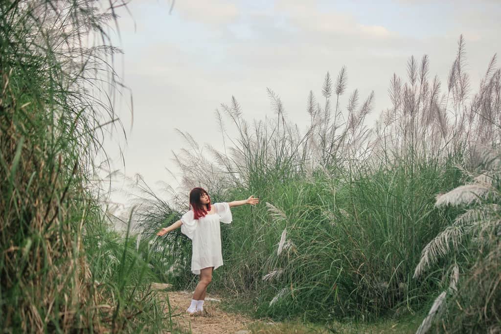 địa điểm sống ảo hà nội-bãi lau sông hồng