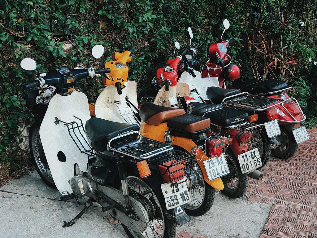 địa điểm sống ảo hà nội-hồ tây