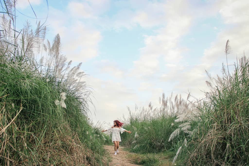 địa điểm sống ảo hà nội-bãi lau sông hồng