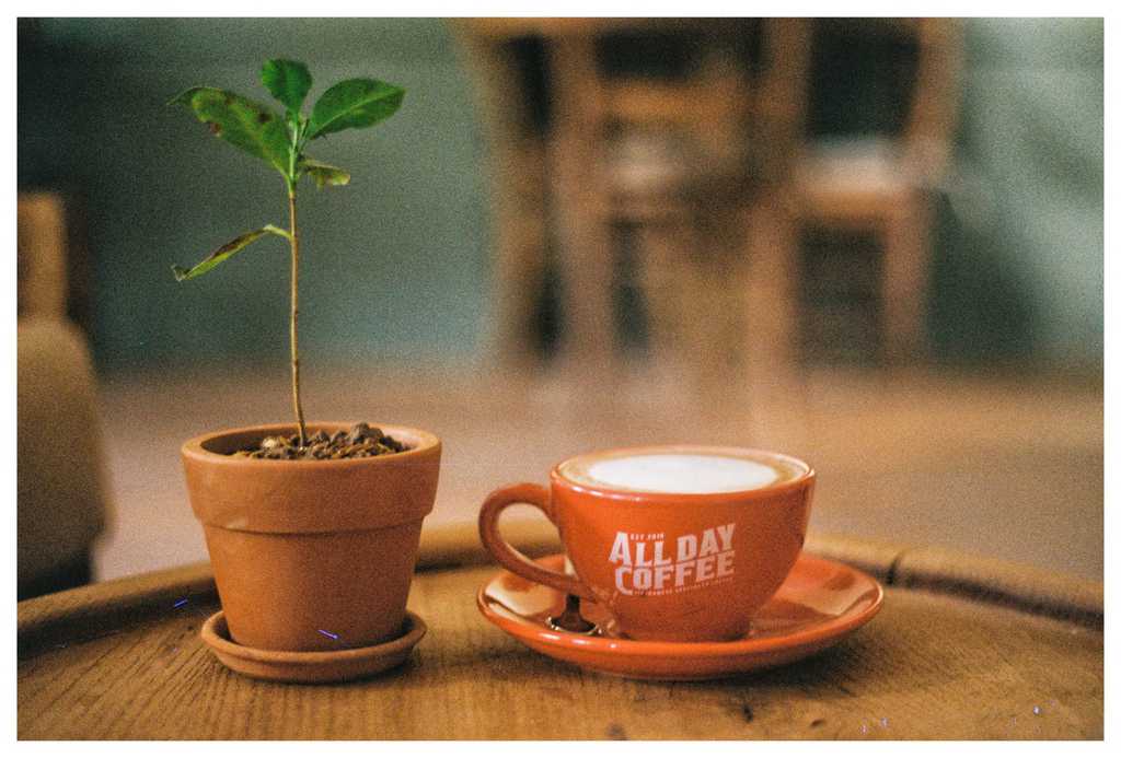 quán cafe cổ ở hà nội-all day coffee