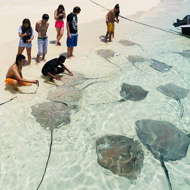 Bỏ túi ngay cẩm nang du lịch Maldives mới nhất 2019 
