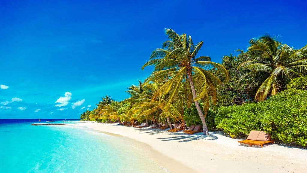 Bỏ túi ngay cẩm nang du lịch Maldives mới nhất 2019 