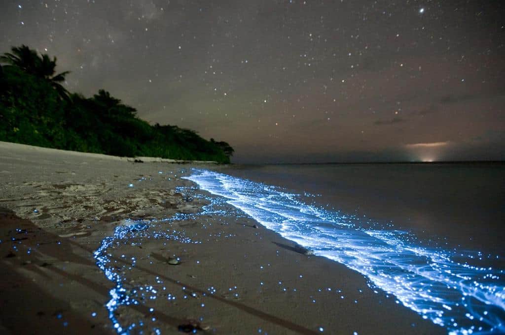 Bỏ túi ngay cẩm nang du lịch Maldives mới nhất 2019 