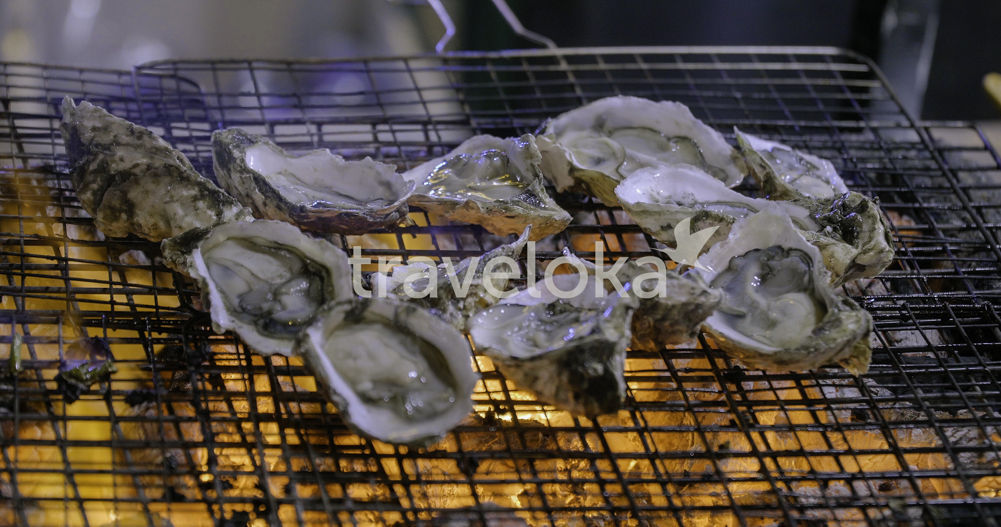 Cẩm nang du lịch Đà Nẵng