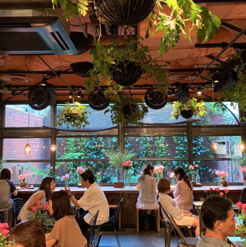 Aoyama Flower Market Tea House - เที่ยวโตเกียว 