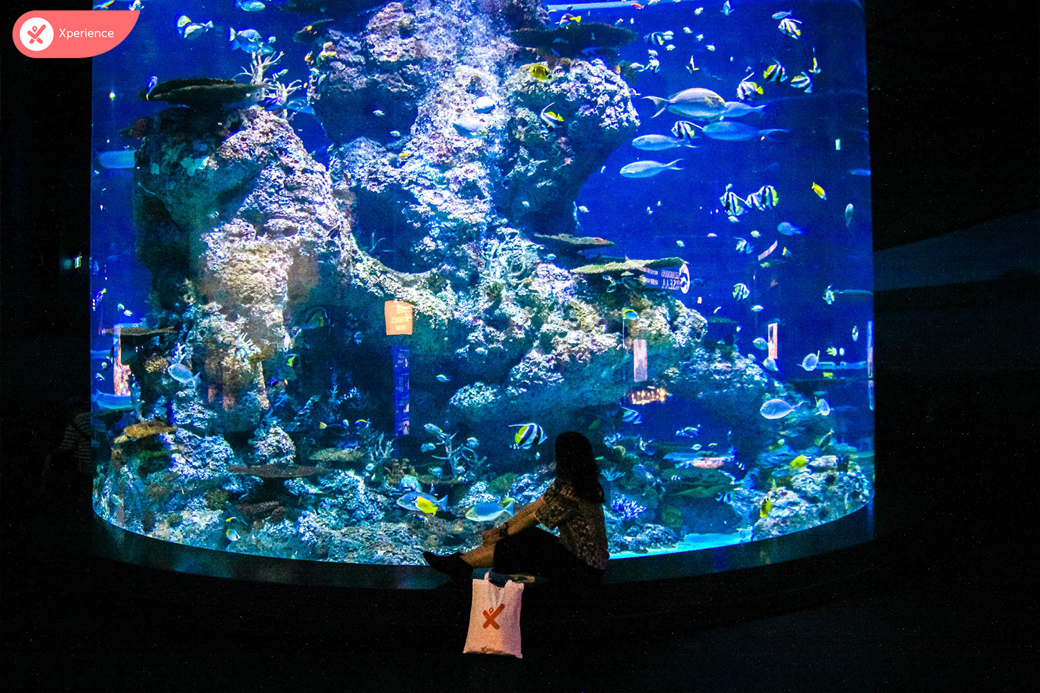 S.E.A. Aquarium