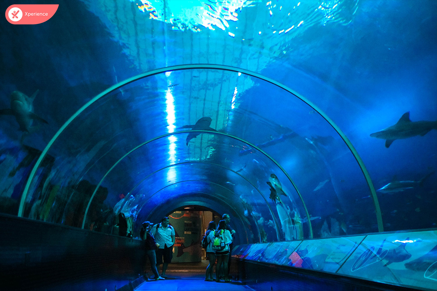 S.E.A. Aquarium