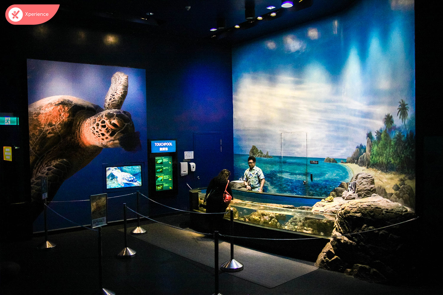 S.E.A. Aquarium