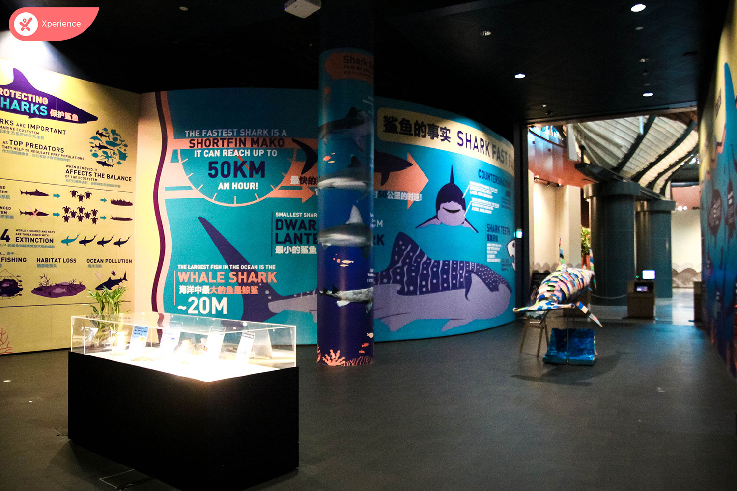 S.E.A. Aquarium