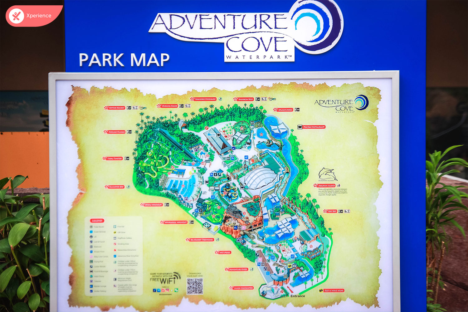 Adventure Cove Waterpark