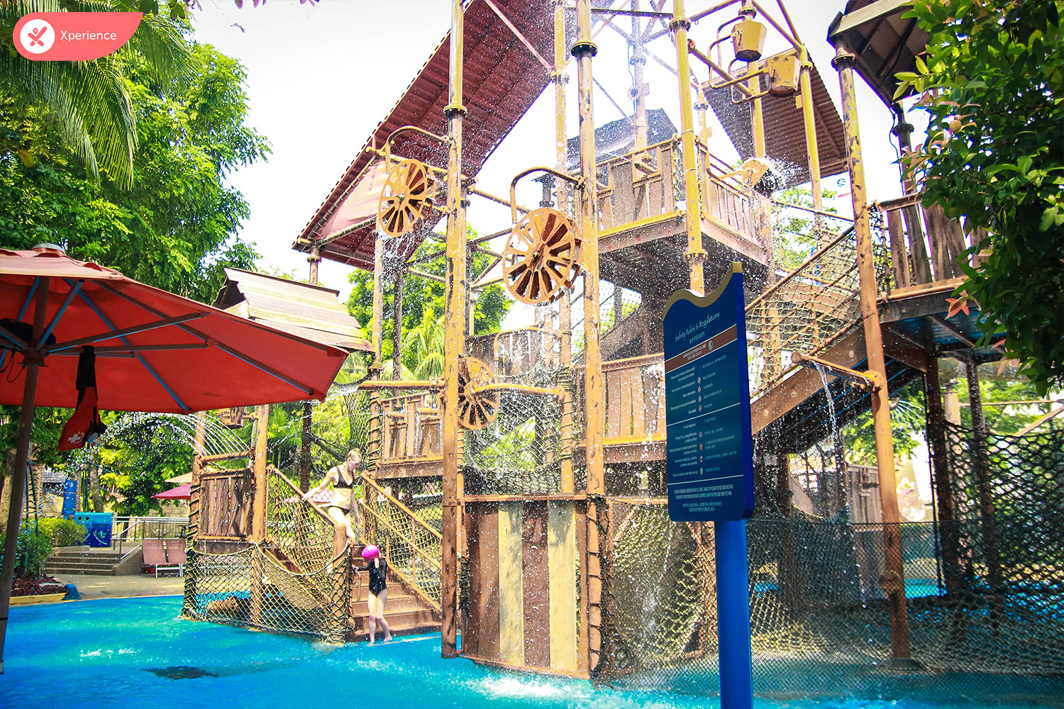 Adventure Cove Waterpark