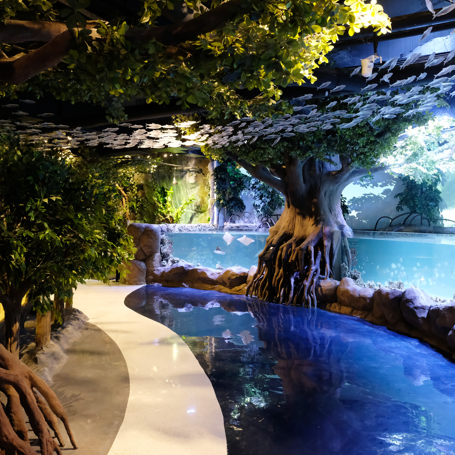 Jakarta Aquarium  - Rekomendasi Tempat Wisata Anak di Jakarta Populer