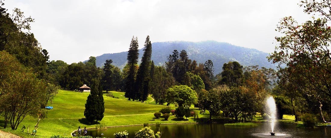 Kebun Raya Cibodas
