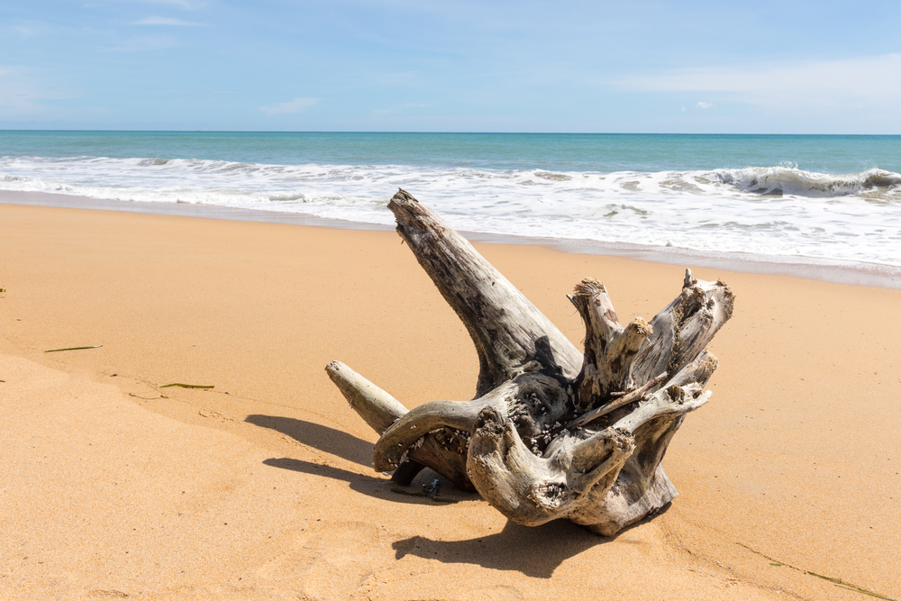 ที่เที่ยวภูเก็ต