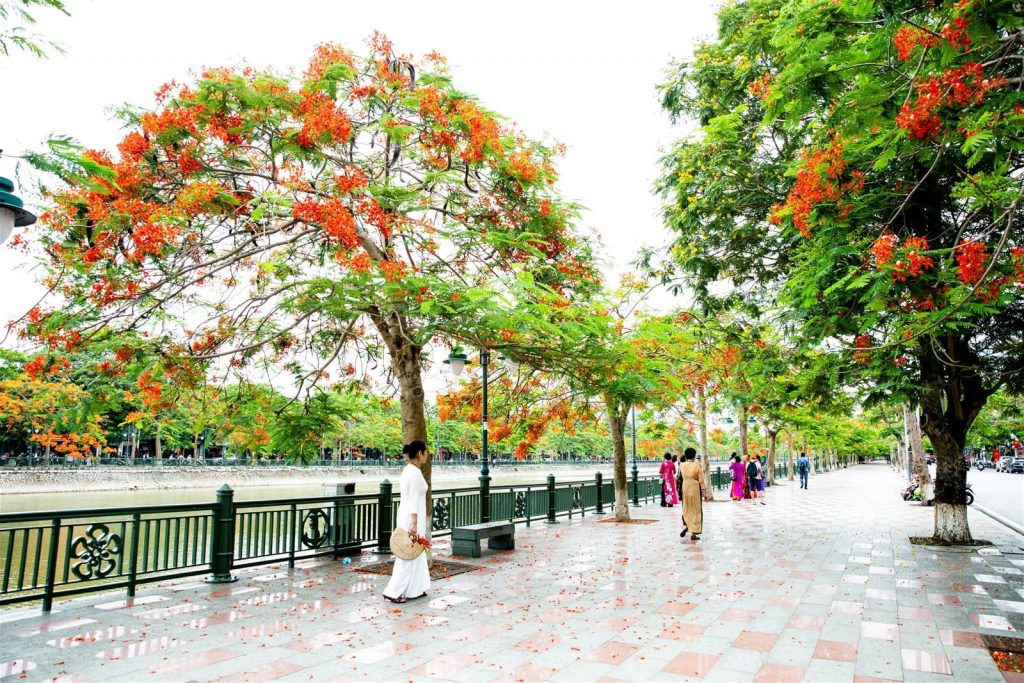 Tậu ngay bộ kinh nghiệm du lịch Hải Phòng