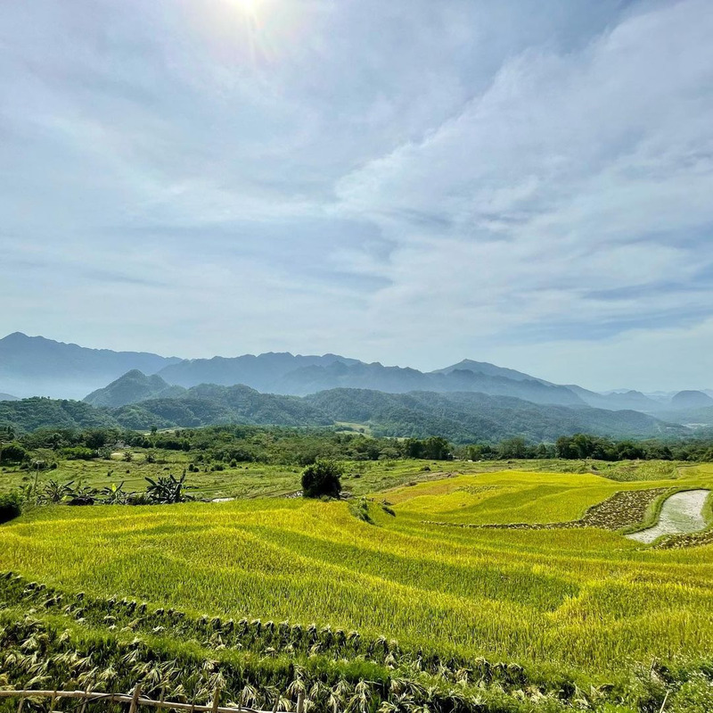 Pù Luông mùa lúa chín