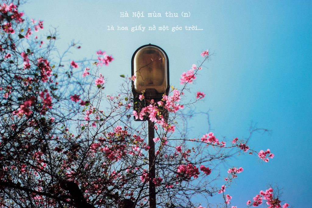 du lịch Hà Nội mùa thu