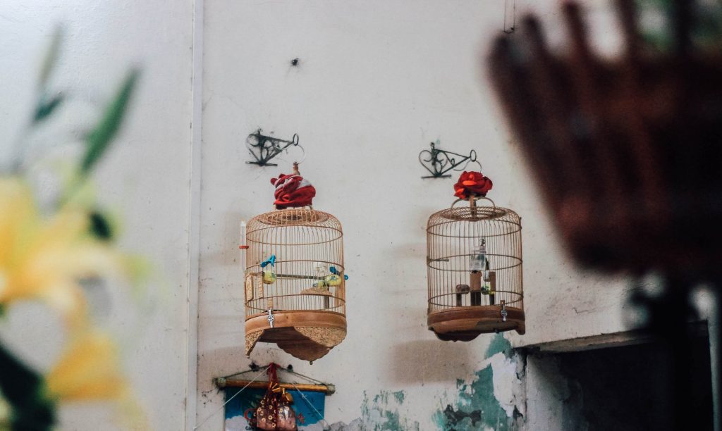 du lịch Hà Nội mùa thu