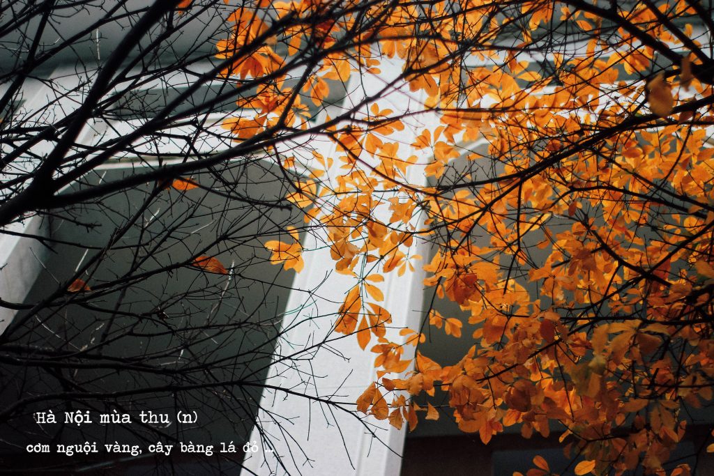 du lịch Hà Nội mùa thu
