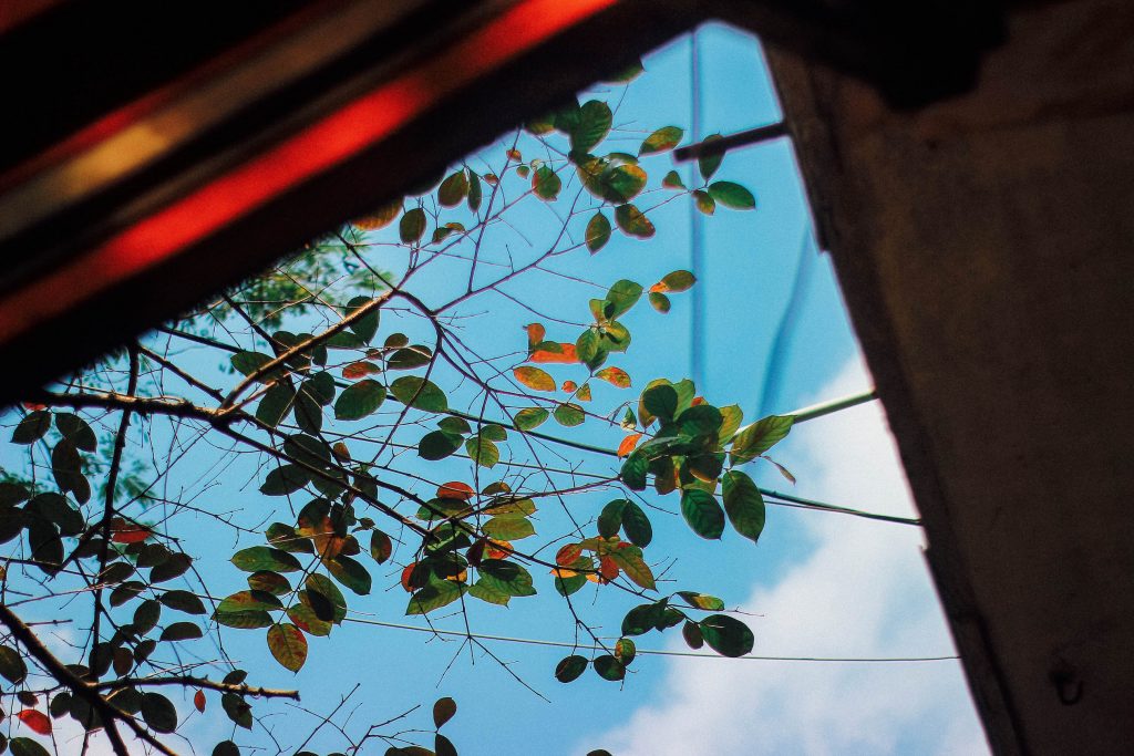 du lịch Hà Nội mùa thu