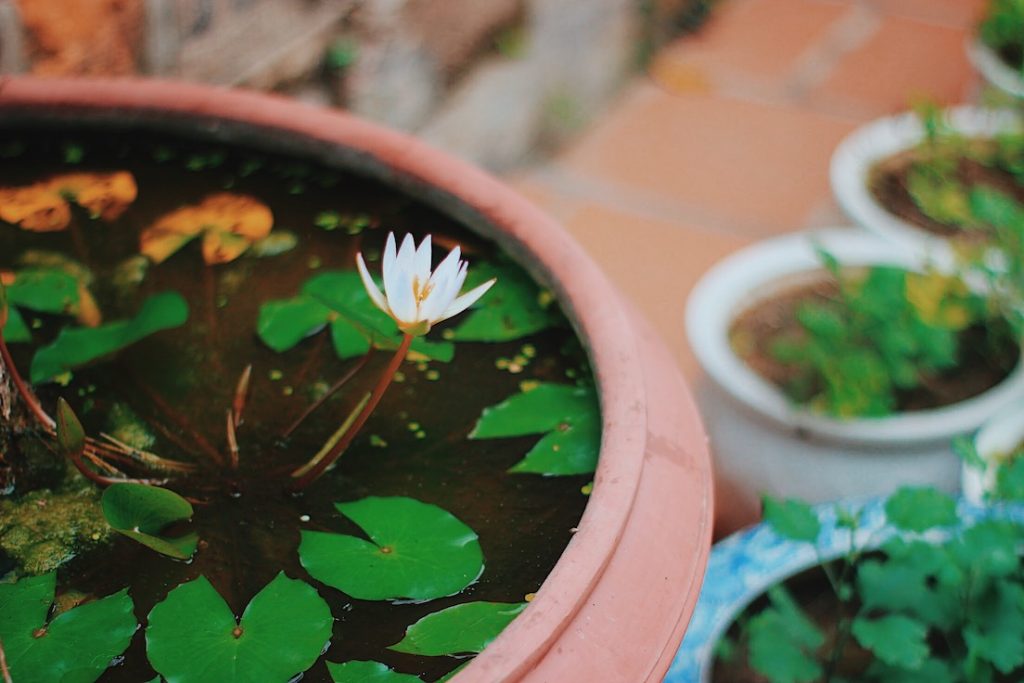 Thăng Long Tứ Trấn