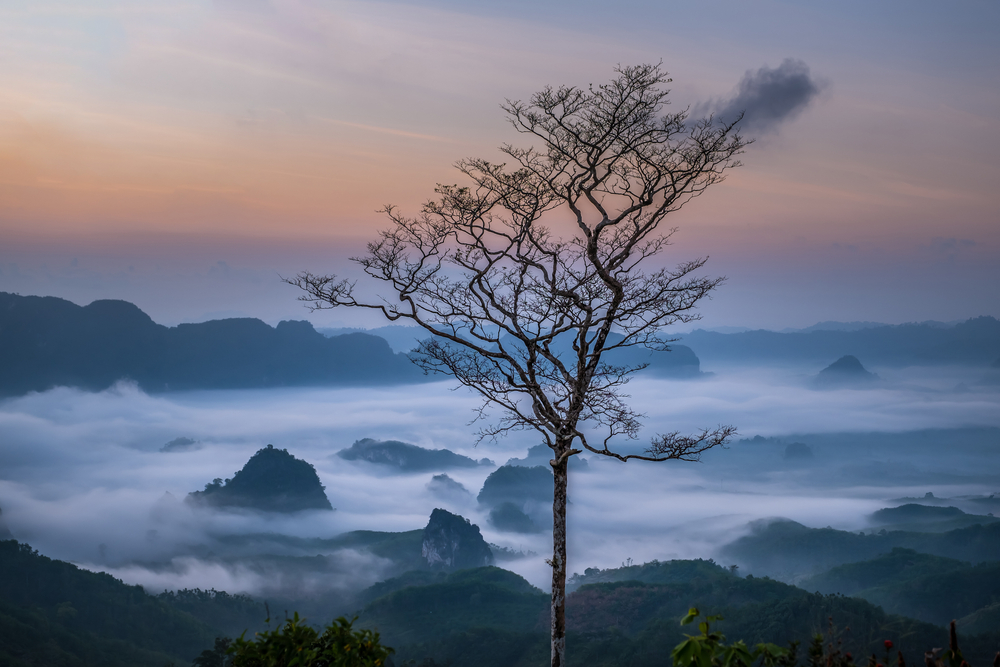 ดอยตาปัง (Ta Pang Mountain)