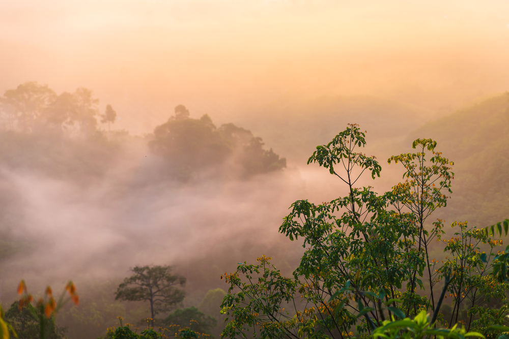 เขาไข่นุ้ย (Khai Nui Mountain) 