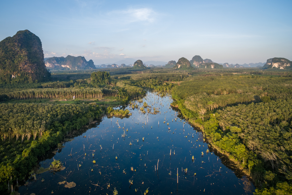 คลองหรูด (Klong Root)