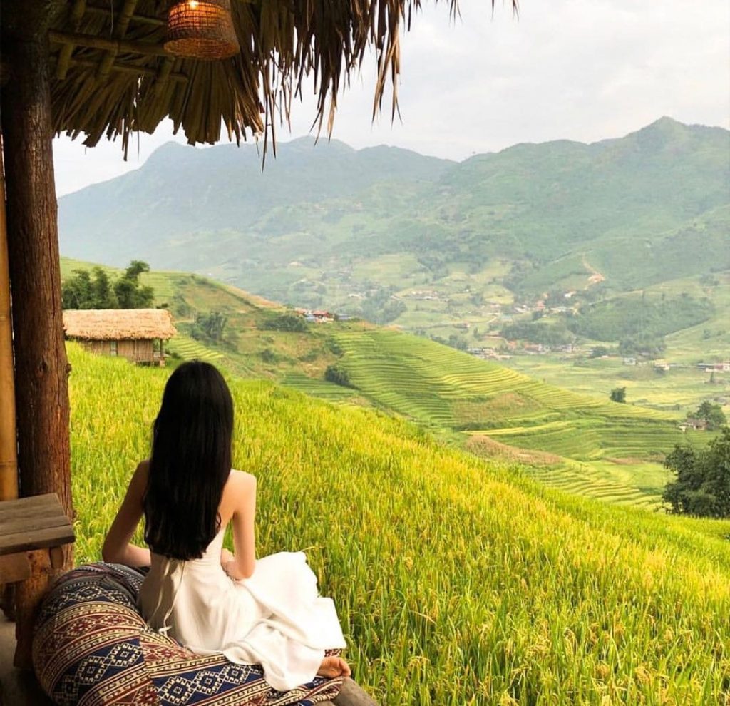 Mùa lúa chín tại thung lũng Mường Hoa