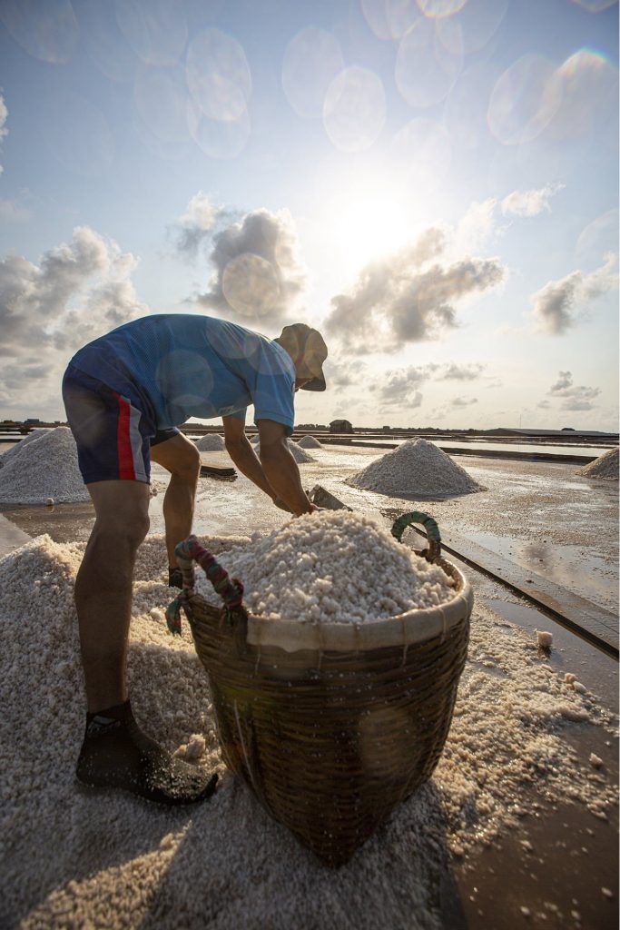 Mùa thu hoạch muối tại Bạc Liêu