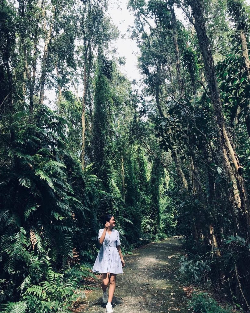 Khu du lịch Xẻo Quýt - một trong những địa điểm du lịch Đồng Tháp nổi tiếng nhất