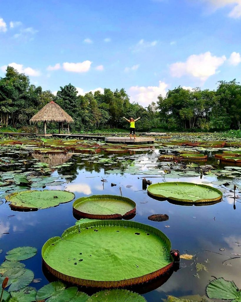 Du lịch Ẩm thực Đặc sản miền T&acirc;y Đồng Th&aacute;p - Ti&ecirc;n Giang | li&ecirc;n hệ Quảng c&aacute;o 0915326788