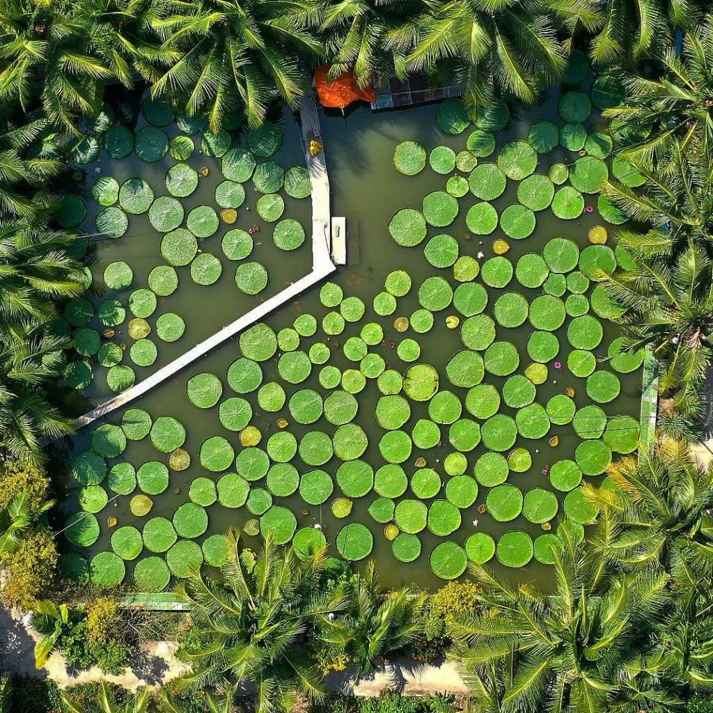 Ao sen tại chùa Phước Kiển