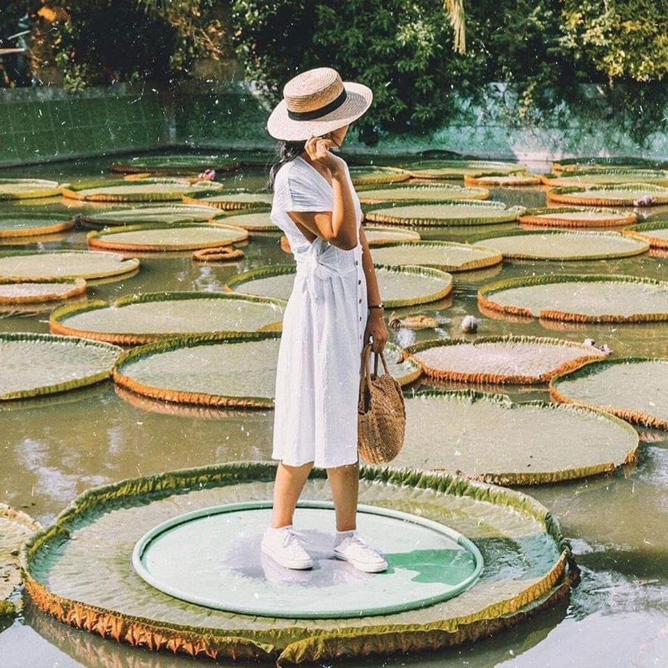 Du lịch Ẩm thực Đặc sản miền T&acirc;y Đồng Th&aacute;p - Ti&ecirc;n Giang | li&ecirc;n hệ Quảng c&aacute;o 0915326788