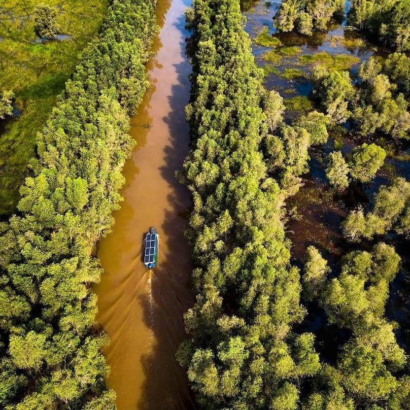Vườn quốc gia Tràm Chim