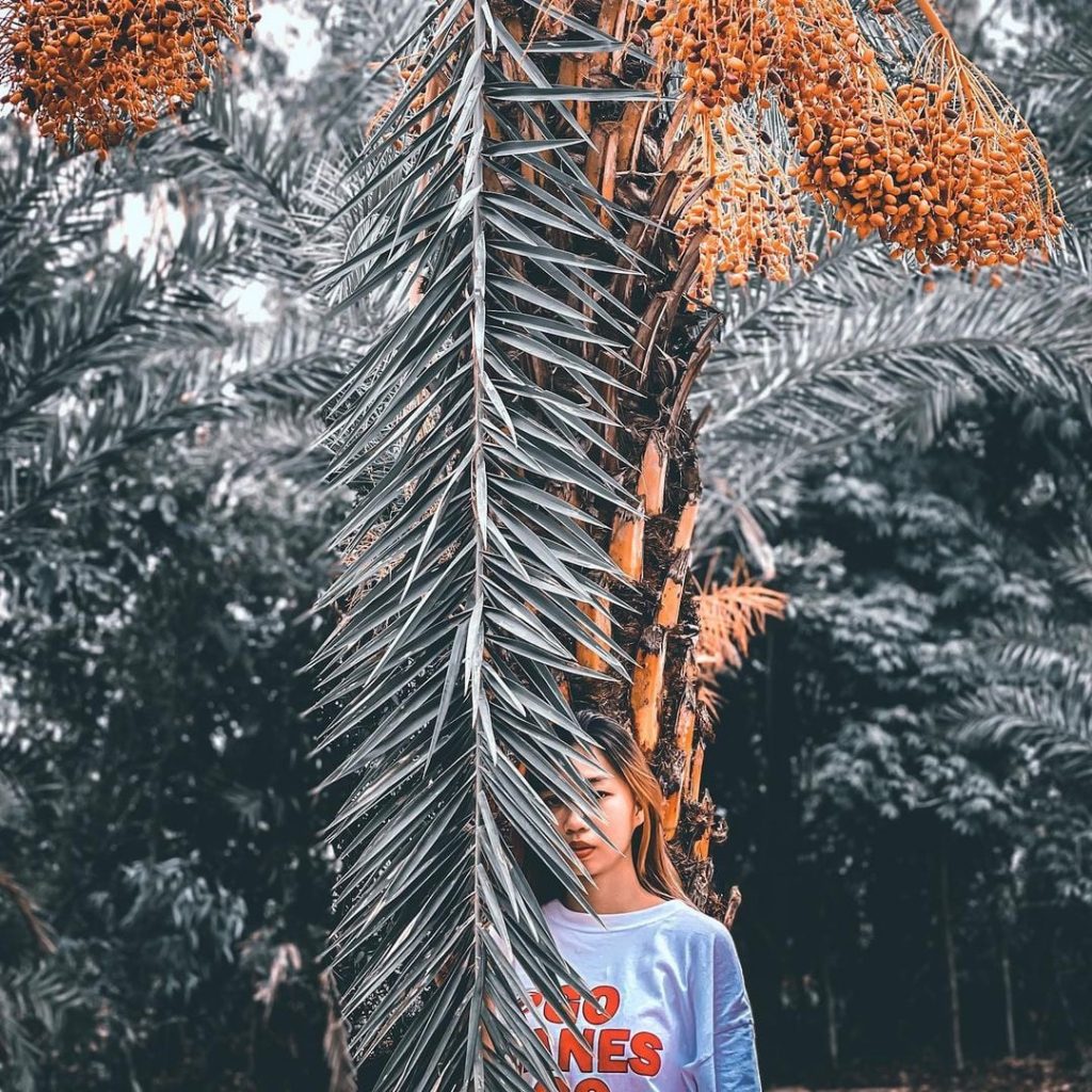 Du lịch Ẩm thực Đặc sản miền T&acirc;y Đồng Th&aacute;p - Ti&ecirc;n Giang | li&ecirc;n hệ Quảng c&aacute;o 0915326788