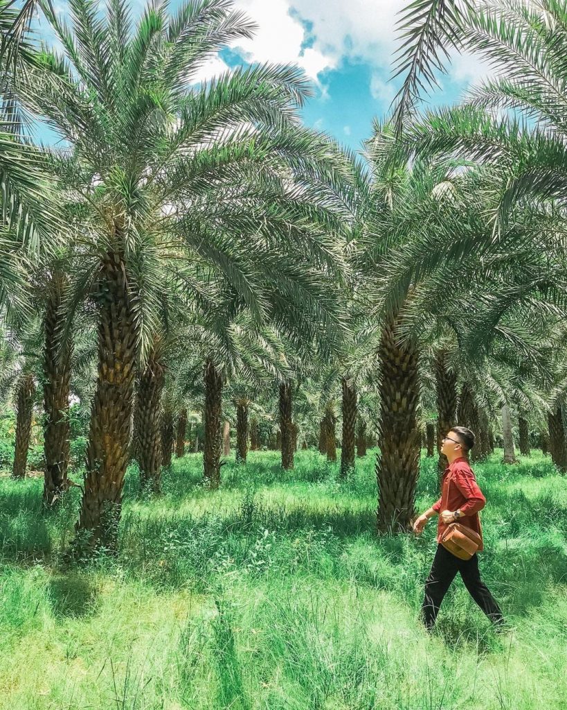 Du lịch Ẩm thực Đặc sản miền T&acirc;y Đồng Th&aacute;p - Ti&ecirc;n Giang | li&ecirc;n hệ Quảng c&aacute;o 0915326788