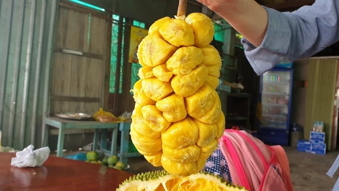 Mít tố nữ Long Khánh