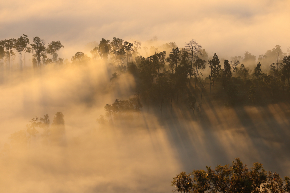 จุดชมวิวเด่นทีวี