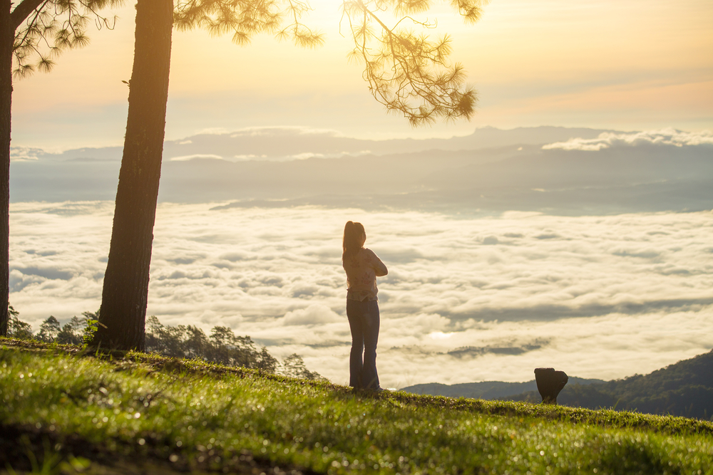 ดอยอ่างขาง