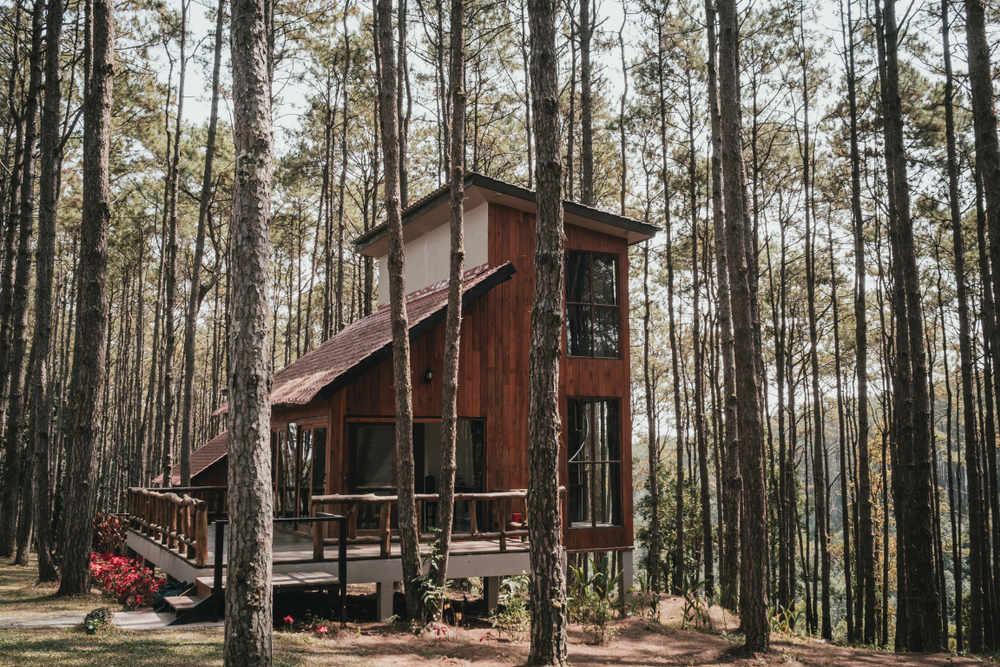 สวนป่าดอยบ่อหลวง