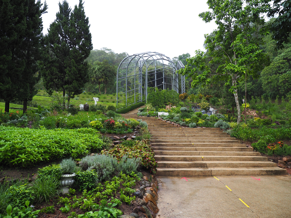 สวนพฤกษศาสตร์สมเด็จพระนางเจ้าสิริกิติ์