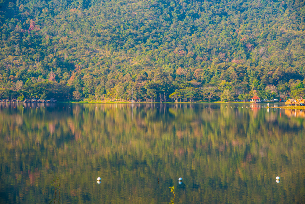 ห้วยตึงเฒ่า