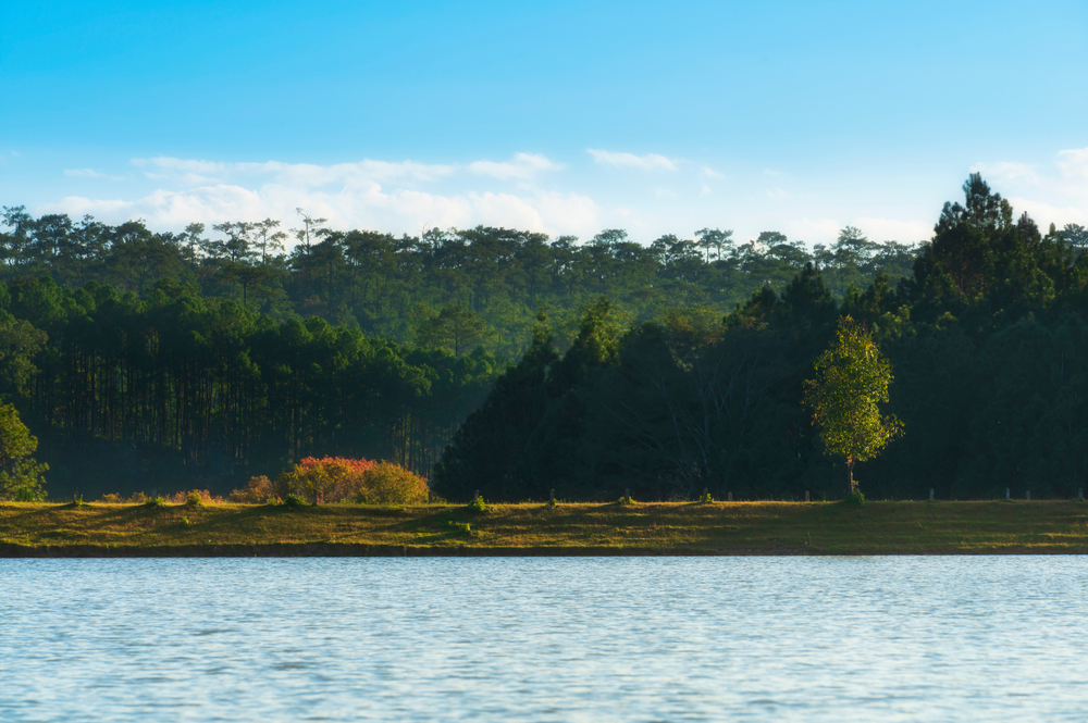 อ่างเก็บน้ำห้วยอ้อ