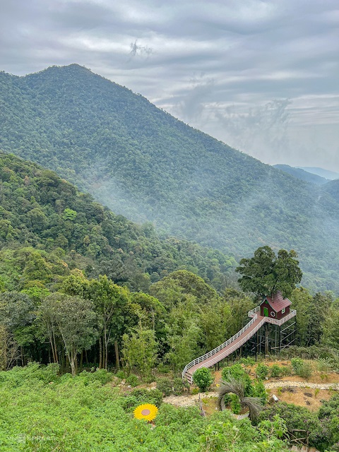 Kinh nghiệm du lịch Tam Đảo