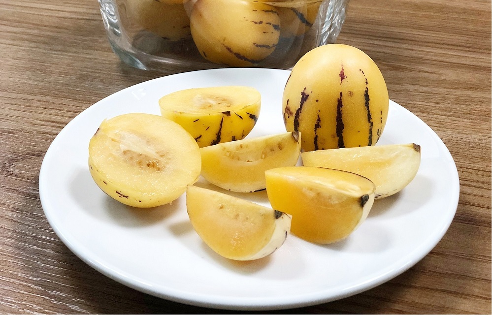 Kinh nghiệm du lịch Tam Đảo