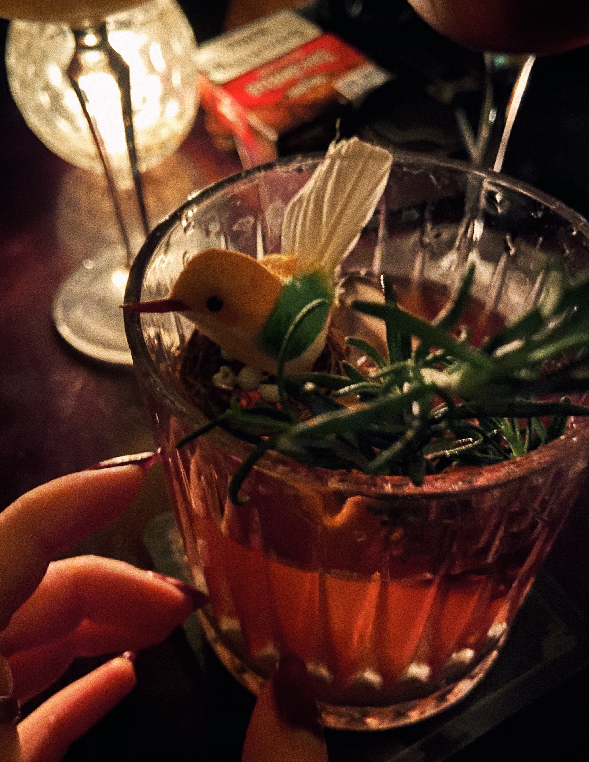 Pollite quán bar tại Hà Nội