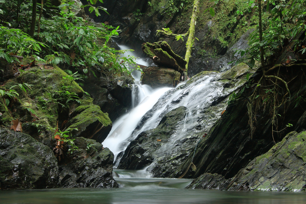 Ulu Temburong National Park - Destinasi Liburan Keluarga Asia Tenggara