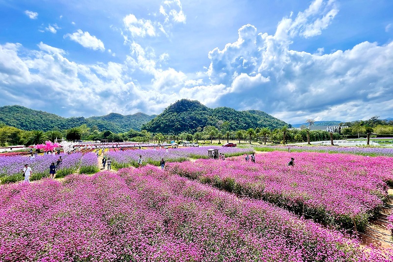 khao yai
