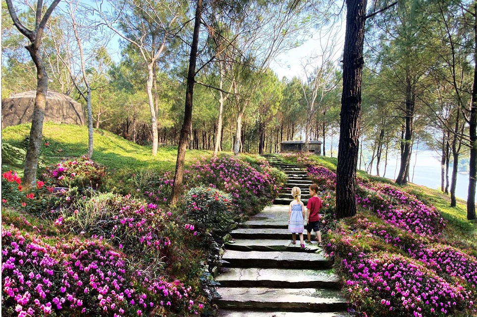 đồi vọng cảnh